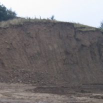 Screened Sub Soil Stockpile