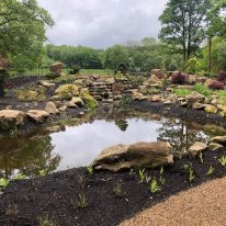 RHS Bridgewater Chinese Streamside Garden